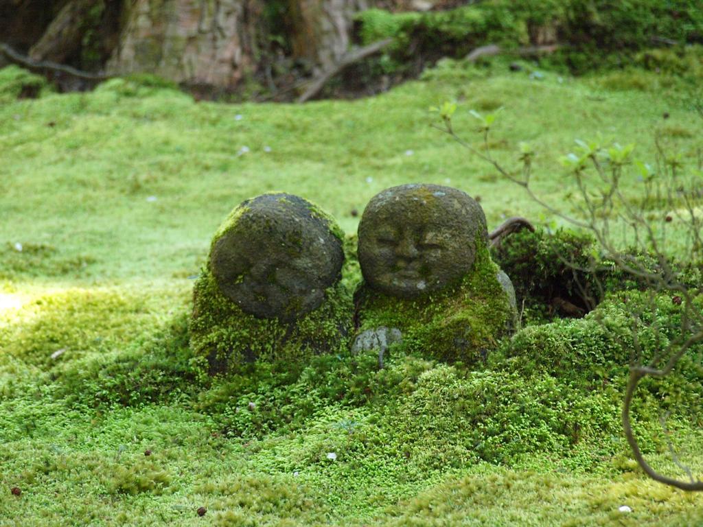 Hotel M'S Est Shijo Karasuma Kyoto Eksteriør billede