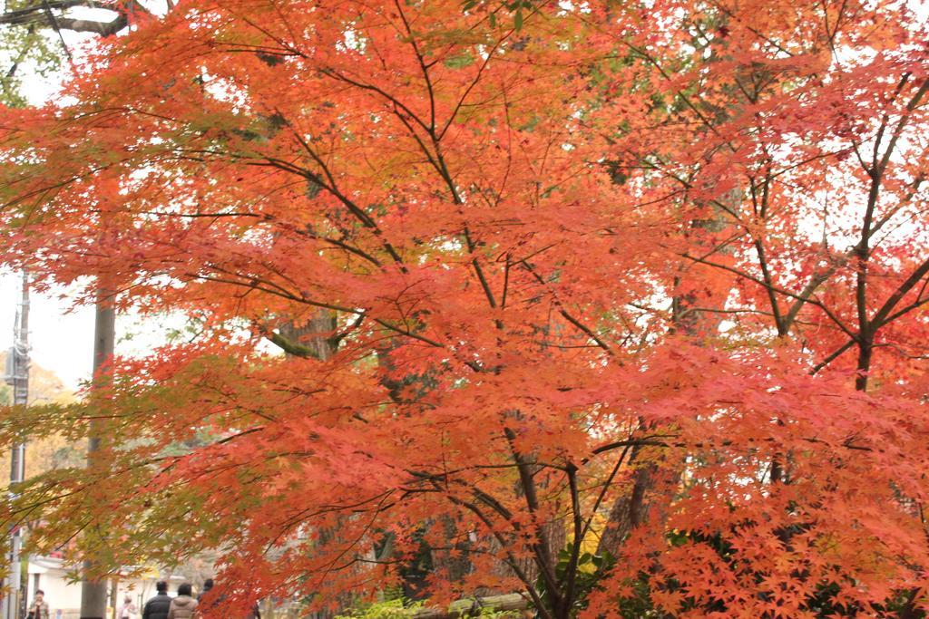 Hotel M'S Est Shijo Karasuma Kyoto Eksteriør billede